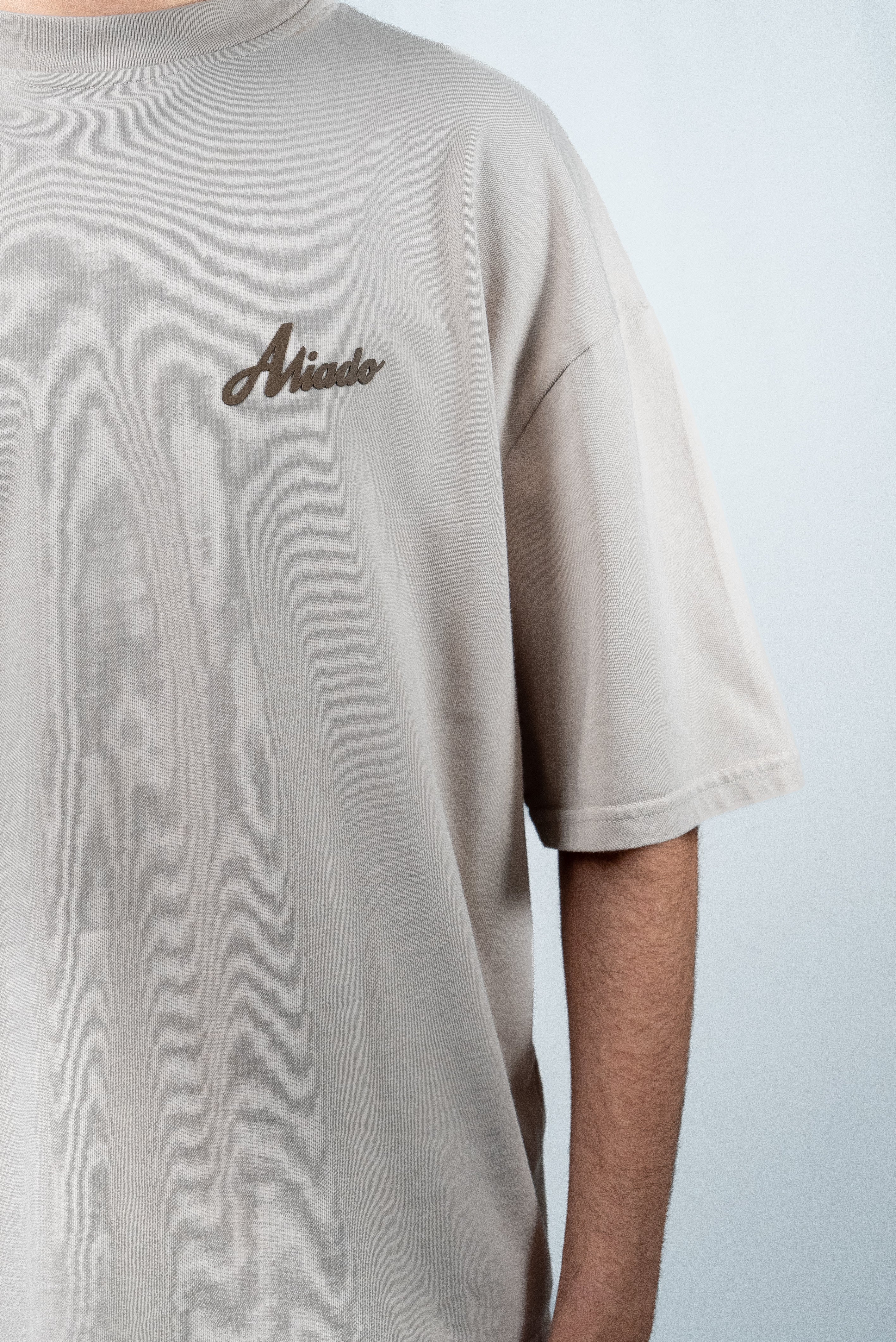 Camiseta Classic Tee - Beige