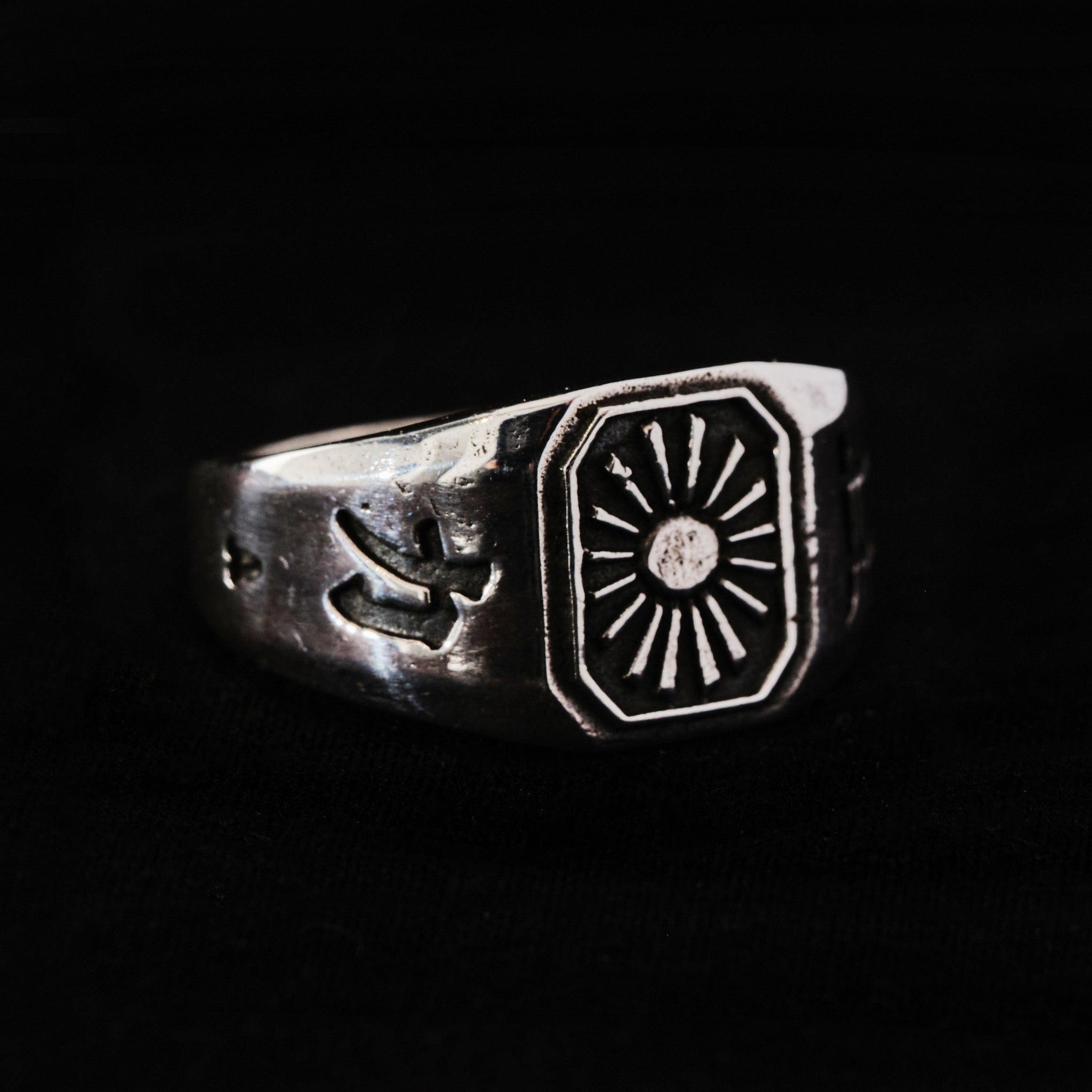 ANILLO TORI
