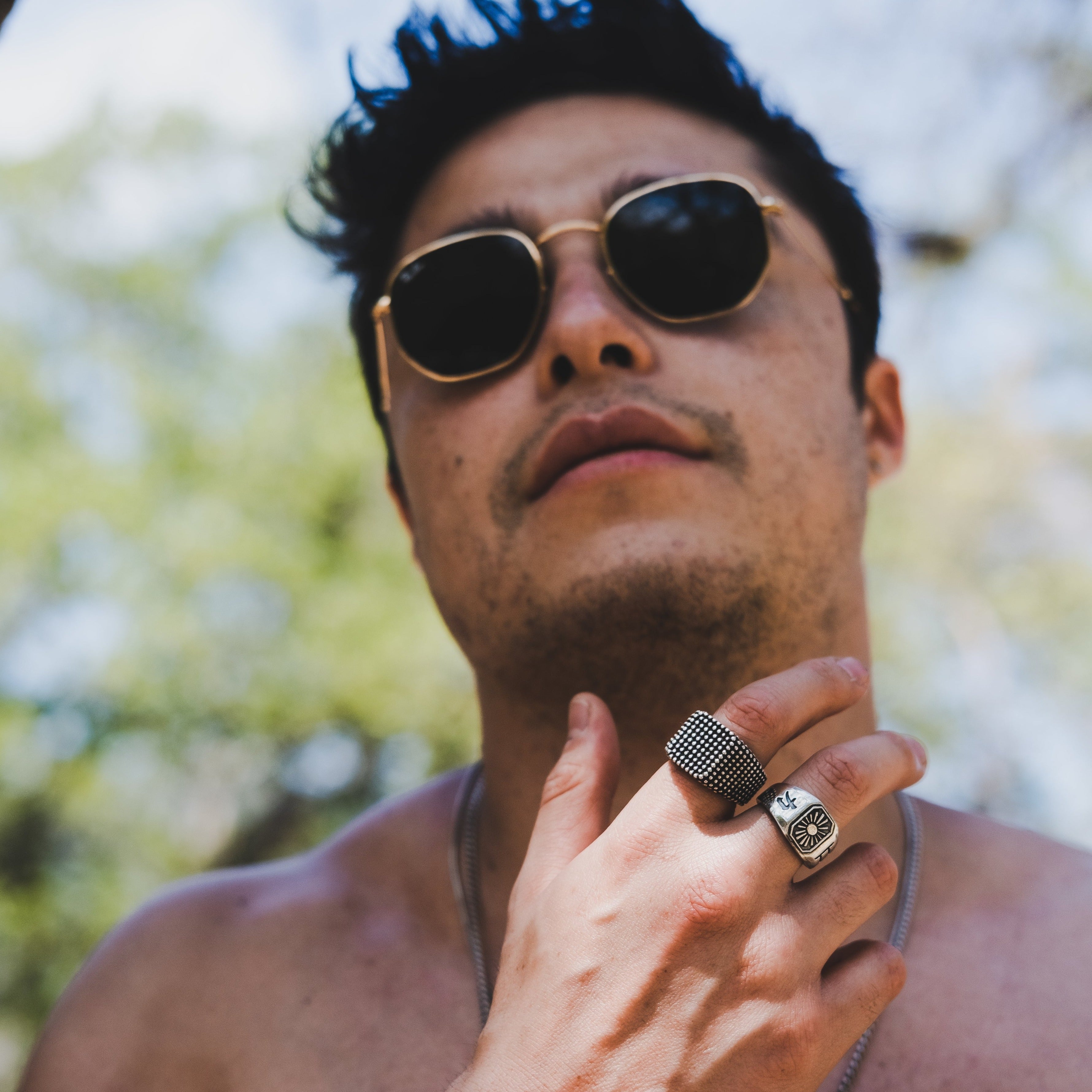 ANILLO TORI