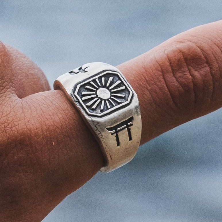 ANILLO TORI